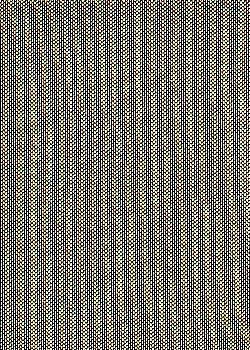 Blk/Gold Foil Mesh