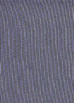 Blk/Royal Foil Mesh