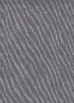 Blk/Silver Foil Mesh
