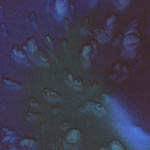 Deep Blue Hand Painted Charmeuse