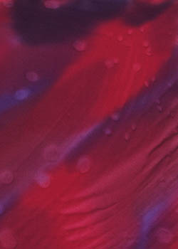 Wine Hand Painted Silk Charmeuse