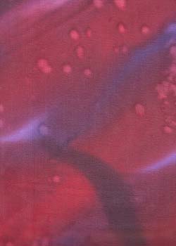 Wine Hand Painted Silk Georgette