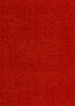 Red/Tan Iridescent Velvet