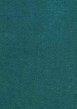 Turq/Sage Iridescent Velvet