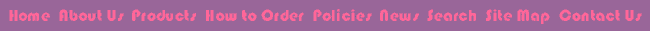 Navigation Bar